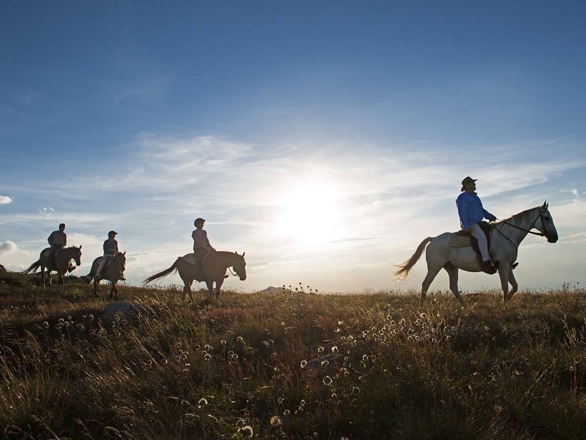 Horse riding