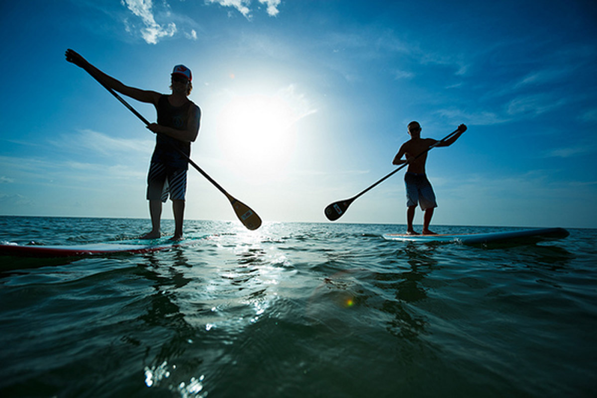 Stand Up Paddle (SUP)